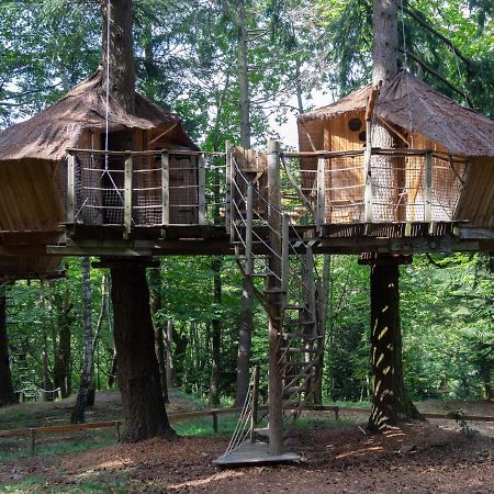 Les Cabanes De Labrousse Saint-Julien-Labrousse Eksteriør billede